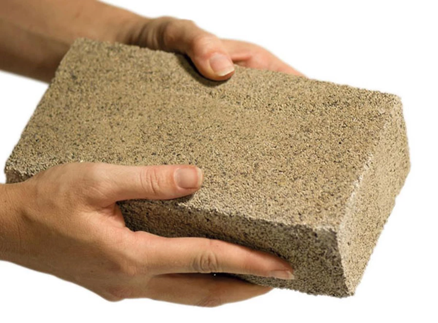 כשהבקטריות מייצרות מלט ושבבי העץ משתלבים בו