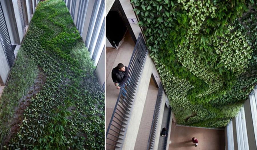 הקיר הירוק מהווה שכבת בידוד נוספת לקיר, מה שמפחית את צריכת האנרגיה בחלל  לחימום וקירור השטח