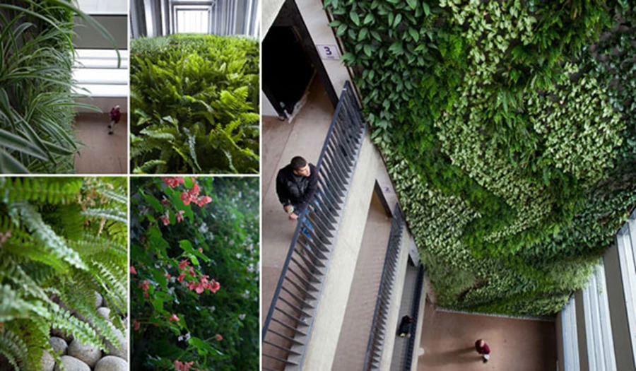 חשוב לבחור צמחייה שלא מייצרת פרחים שנובלים במהירות ועלולים לפגוע ביופי של הקיר