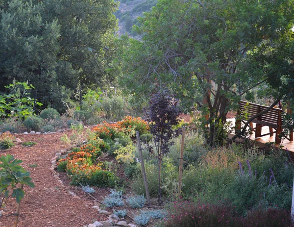 לידתו של גן