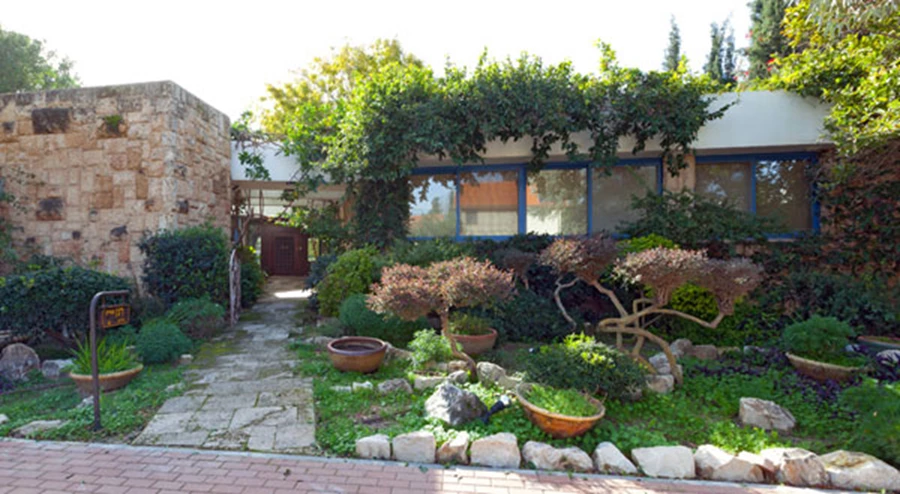 כחול הוא הצבע שלי