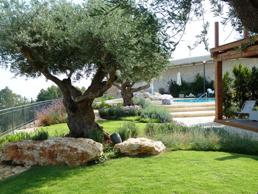 תכנון גינה בגליל העליון