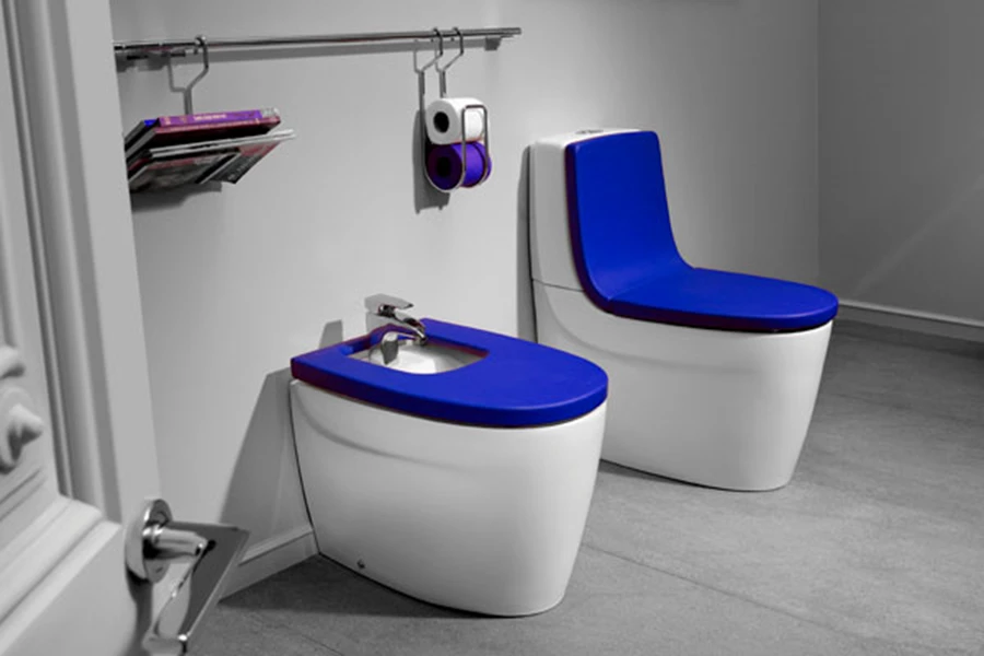 אסלות מעוצבות- אל תגידו שלא ידעתם !