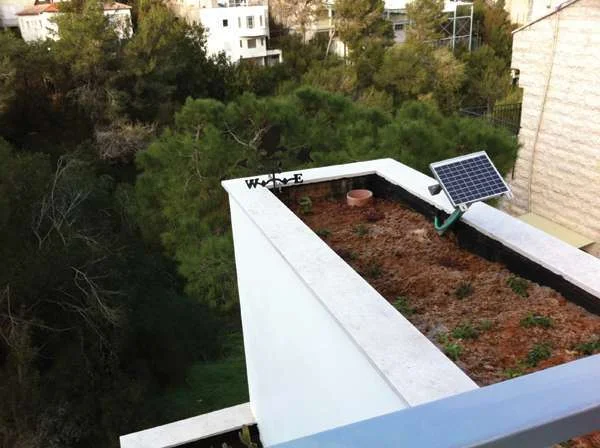 עיצוב משרד על טהרת התפיסה האקולוגית