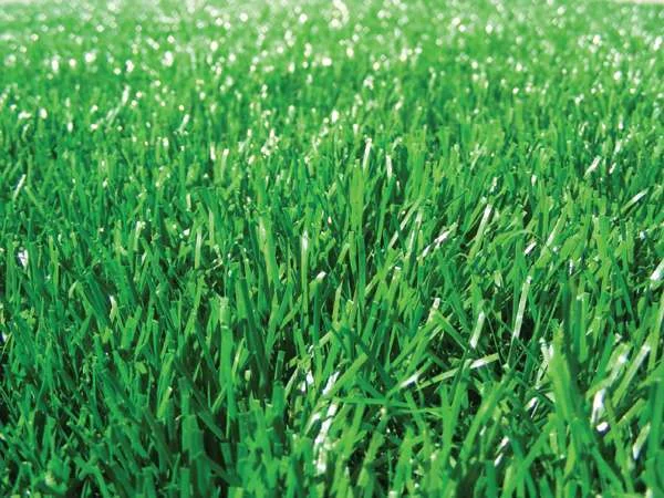 עיצוב גינות סינטטיות