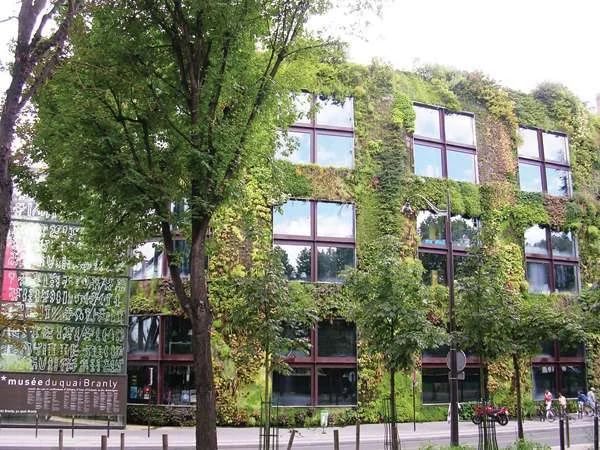 קיר ירוק הוא גינה ורטיקאלית