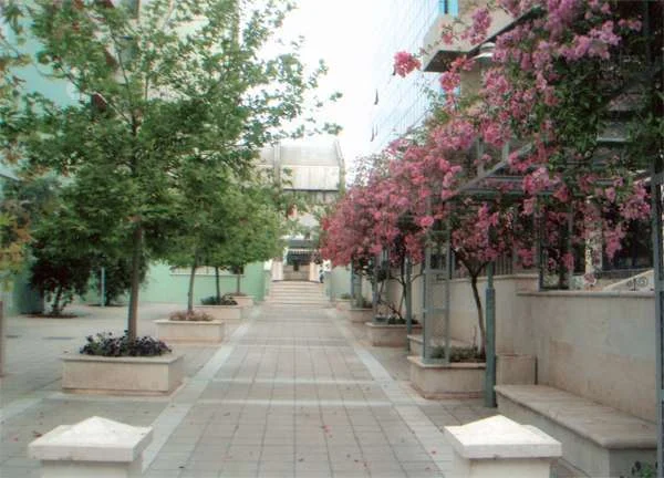 כיכר ציון תל אביב