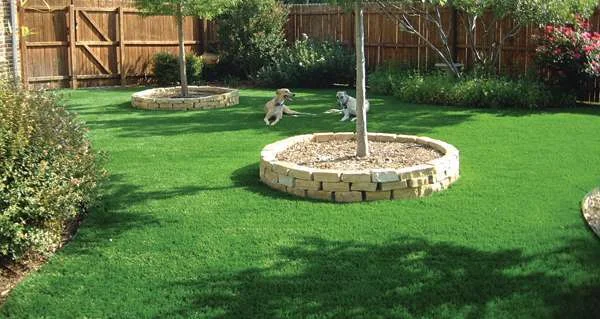 דשא סינטטי - ירוק ואקולוגי