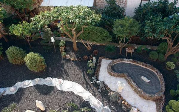 יופי מושלם - גן בסגנון יפני