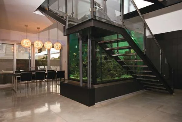 תכנון במזל דגים