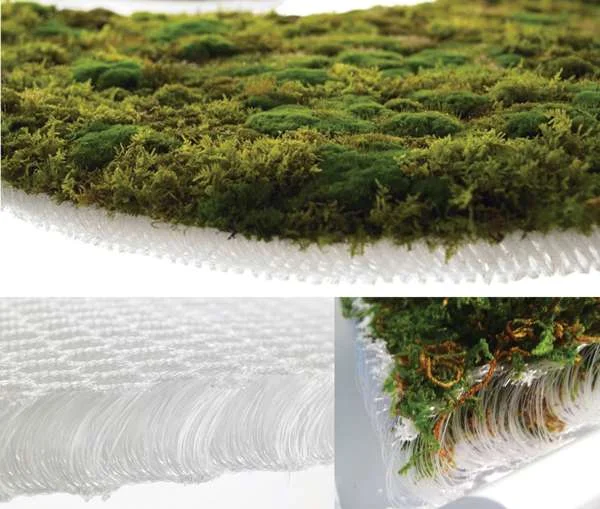 האמן היפני מקוטו אזומה