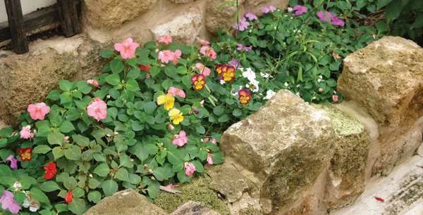 סיפורה של גינה - חותם האבן