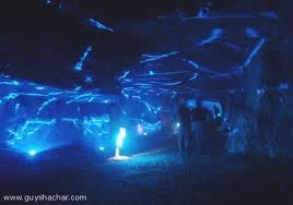 פסטיבל האור בעתיקה 2010