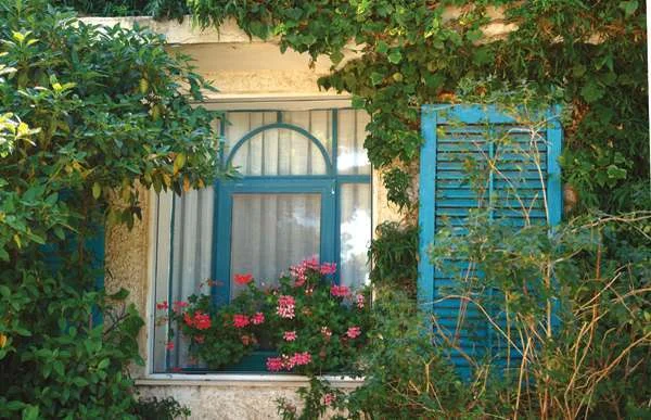 גינה מחוברת לשורשים