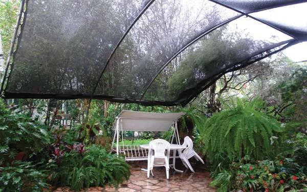 סיפורה של גינה