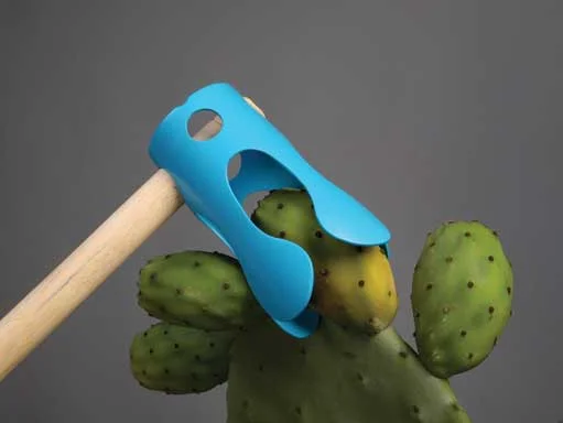 עיצוב חדש לקוטף סברס