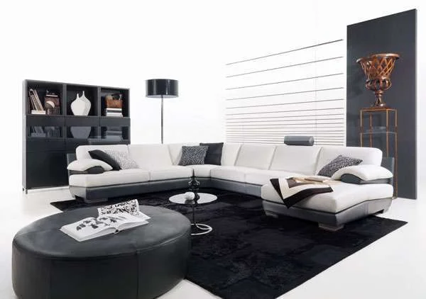 עור - עיצובים וחידושים