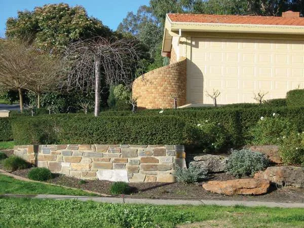 גדר חיה בגן