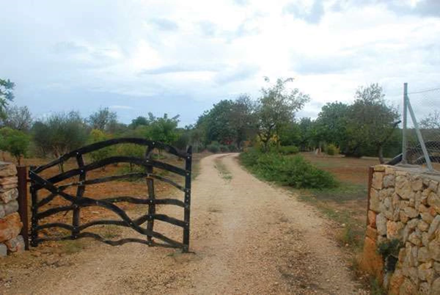 שער העץ המוביל לנחלה ושביל הגישה לבית,  החולף על-פני עצי הבוסתן.