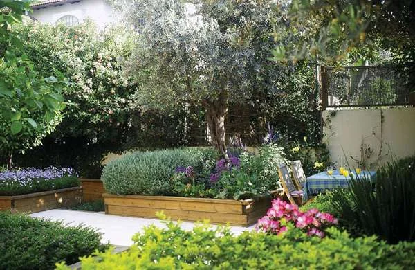 גינה חסכנית במים