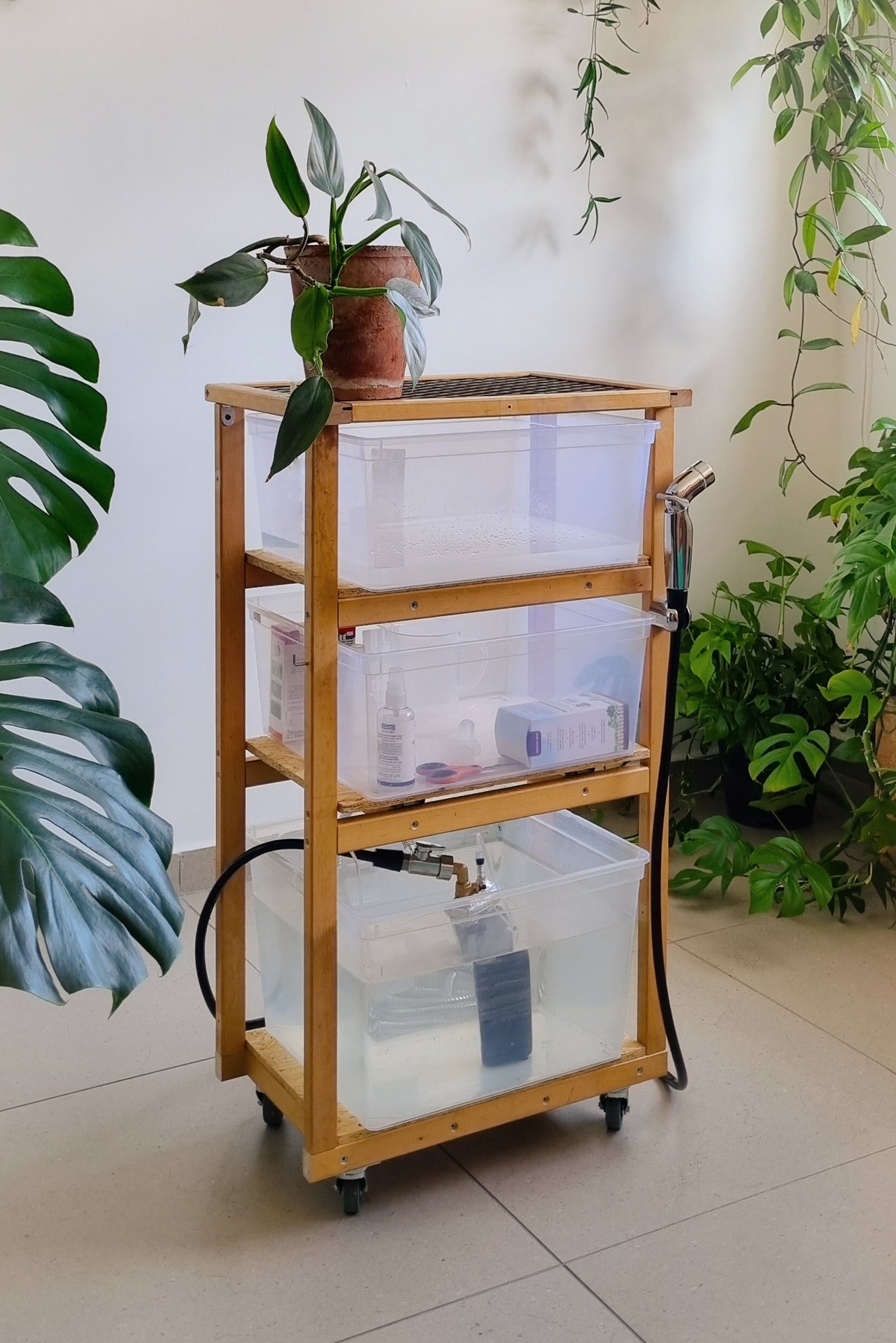 עגלת השקיה לצמחים - צילום אלעד עטרי