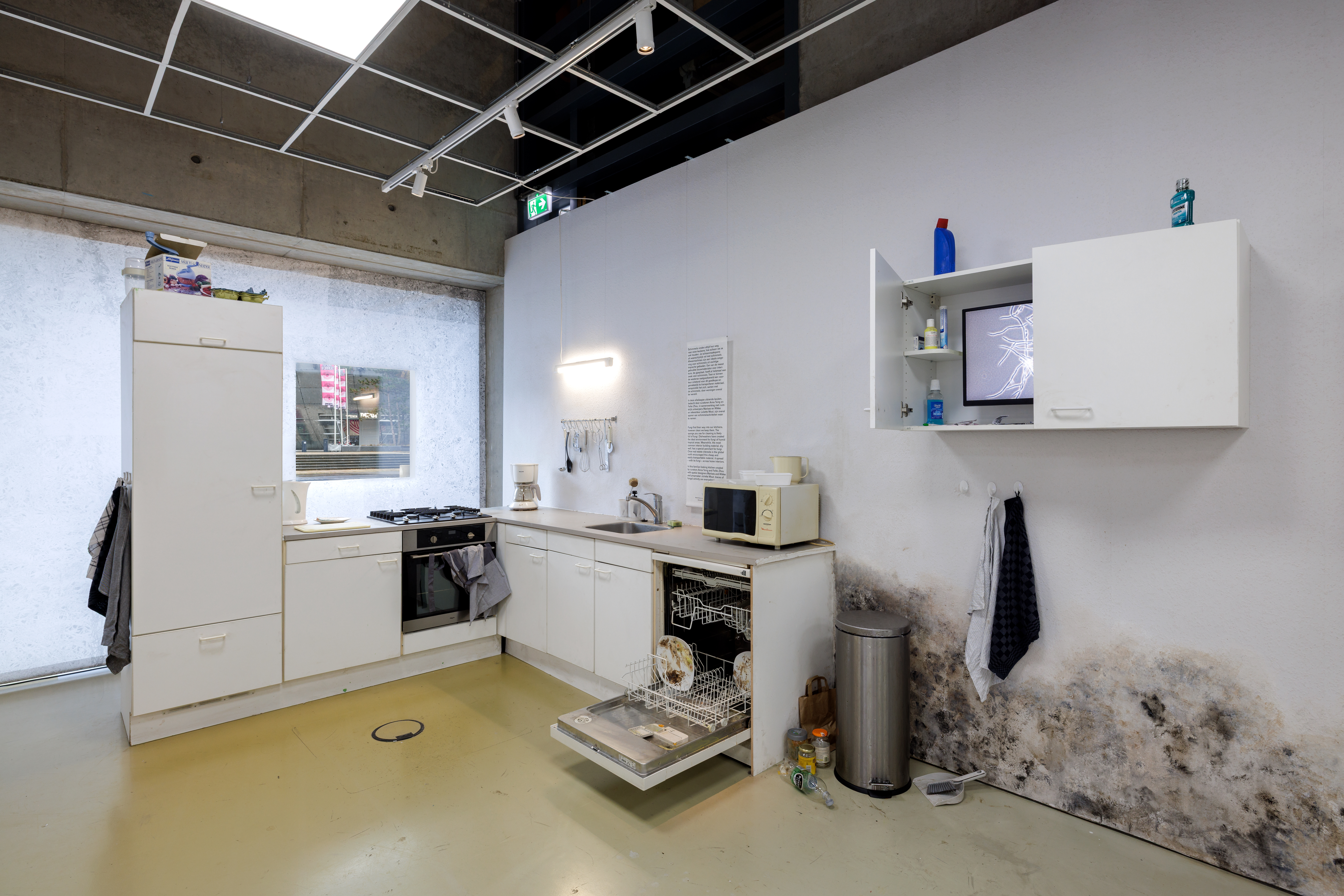 Aad Hoogendoorn באדיבות Nieuwe Instituut