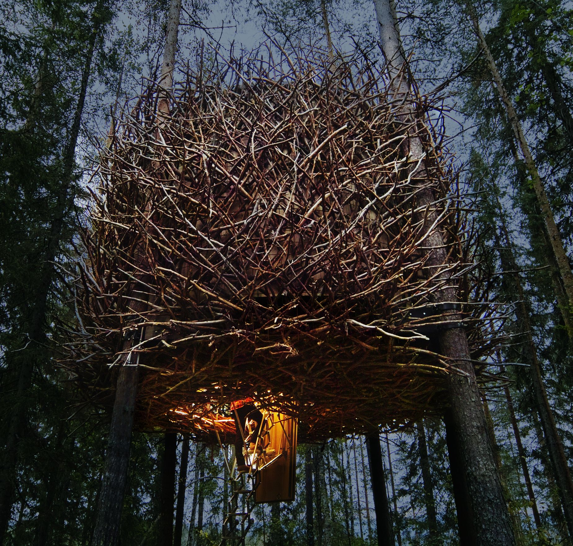 באדיבות Treehotel 