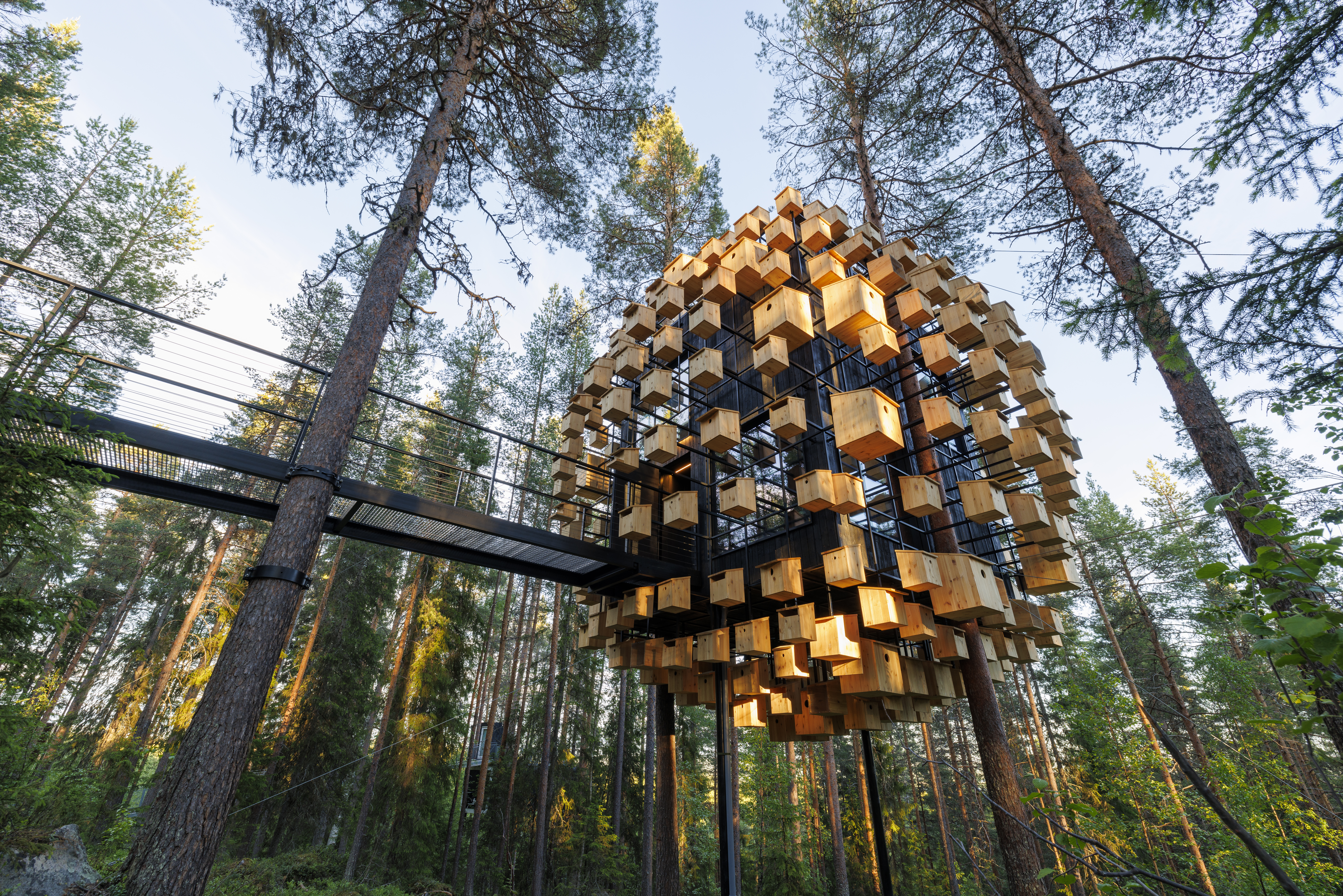 באדיבות Treehotel. הביוספרה