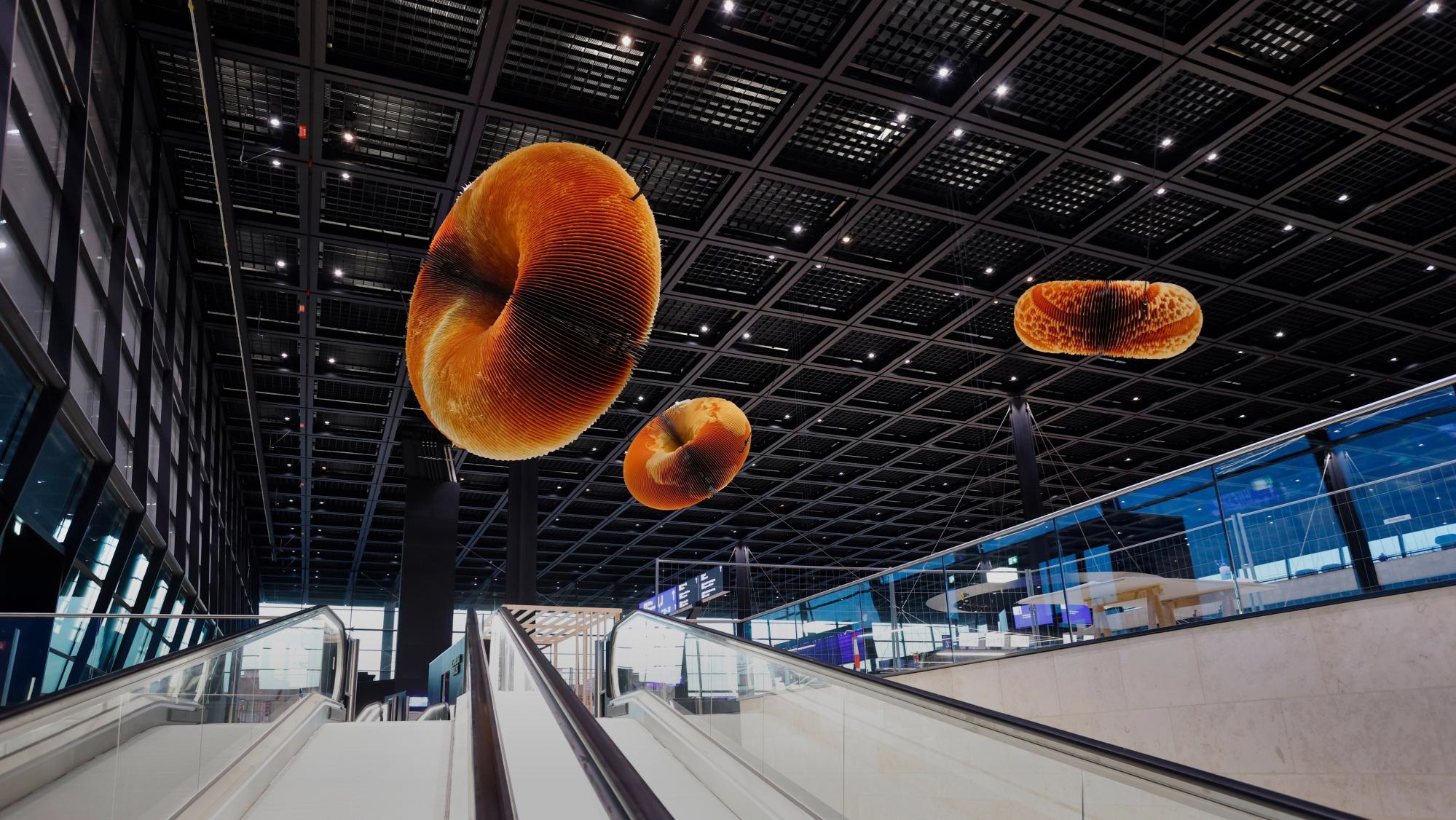 נמל התעופה פרנקפורט, גרמניה. © Frankfurt Airport