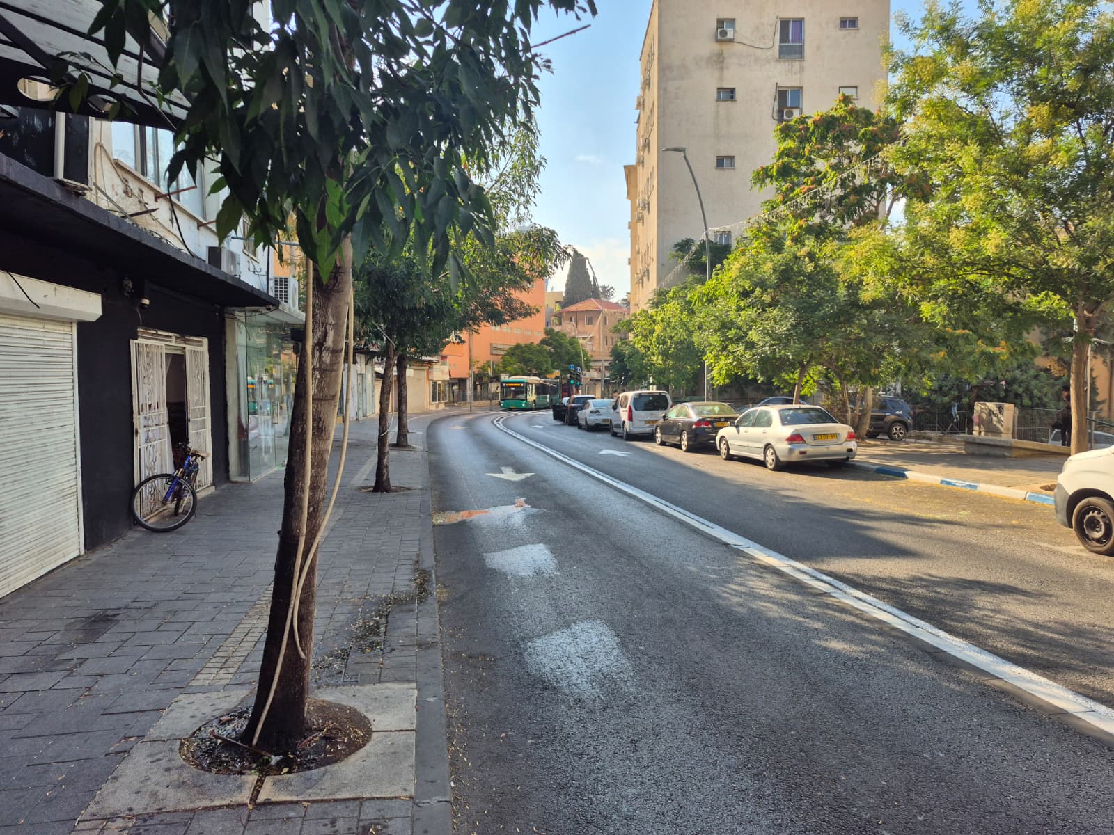 רחוב החלוץ בחיפה. צילום: ראובן כהן, דוברות עיריית חיפה