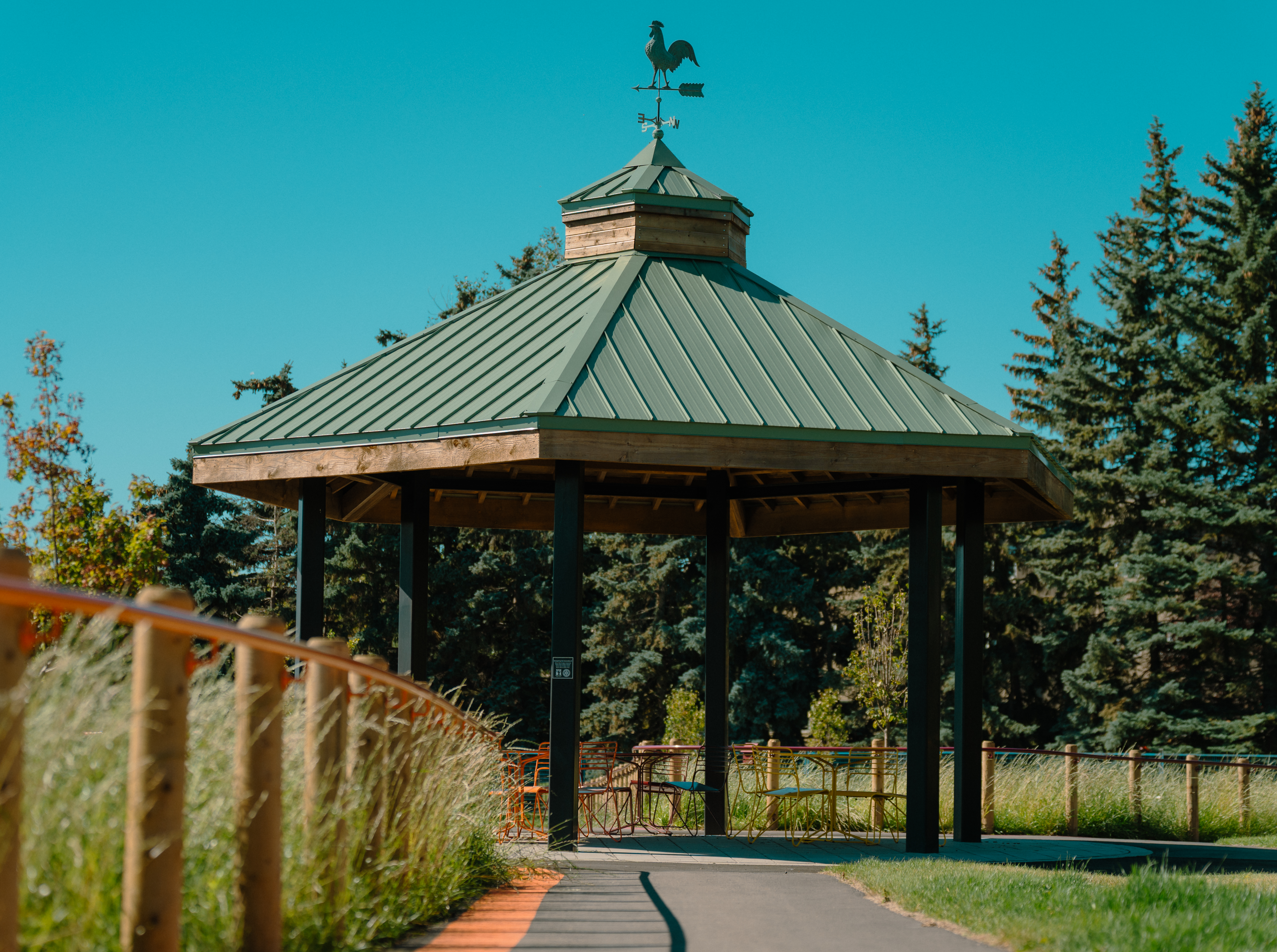  צילום באדיבות  Parks Foundation Calgary
