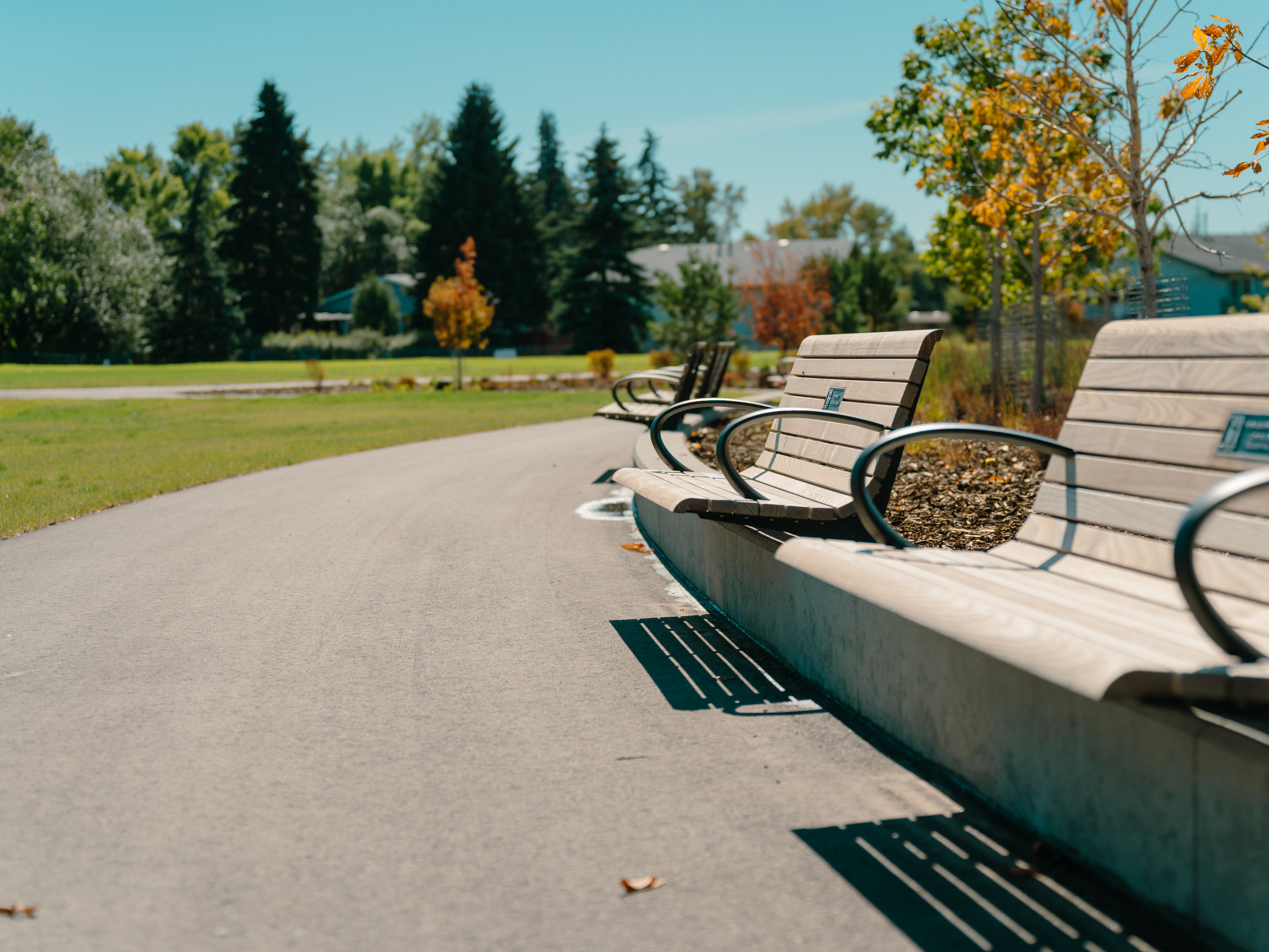  צילום באדיבות Parks Foundation Calgary