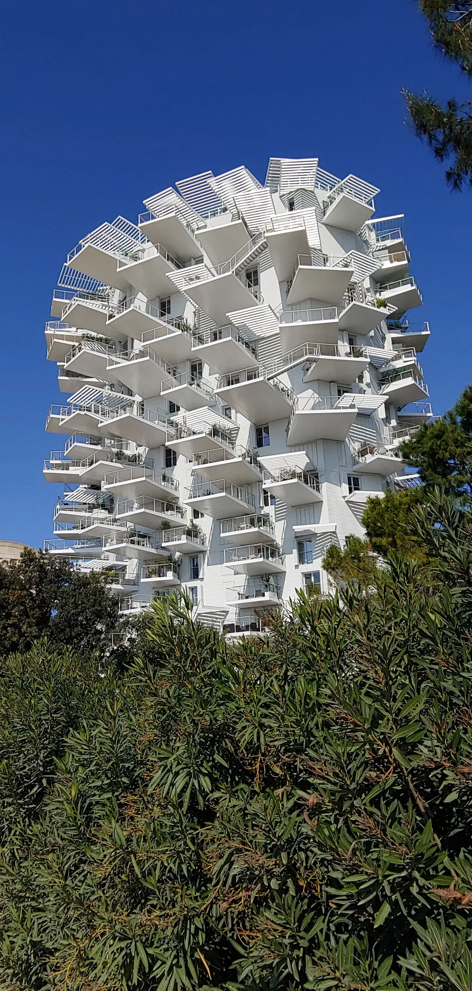 ל'ארבר בלאן (L’Arbre Blanc) לצד נהר הלז (Lez) במונפלייה, צרפת. צילום: ברונו בראל (Bruno Barral)