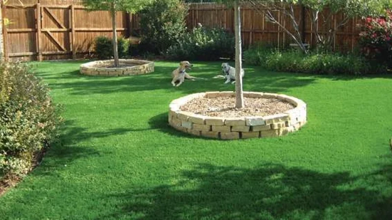 דשא סינטטי - ירוק ואקולוגי