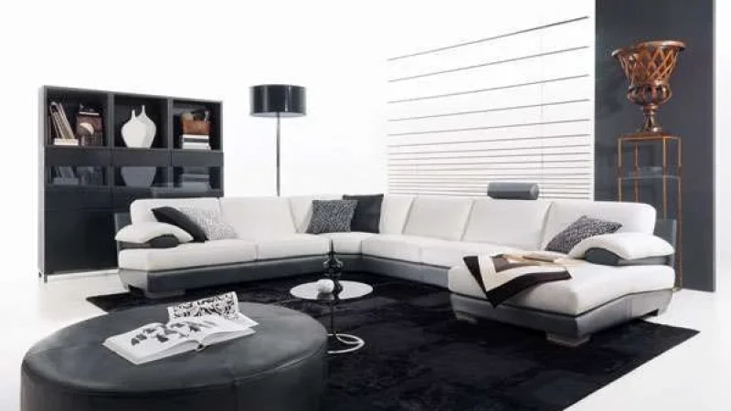 עור - עיצובים וחידושים