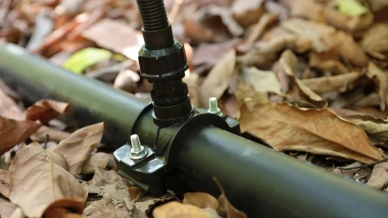 אצל פלס-פיט הירוק נמצא גם בפרטים הקטנים