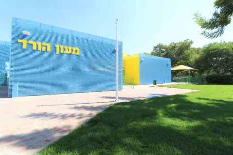 מלכי לוין: עושה בית ספר לגני ילדים
