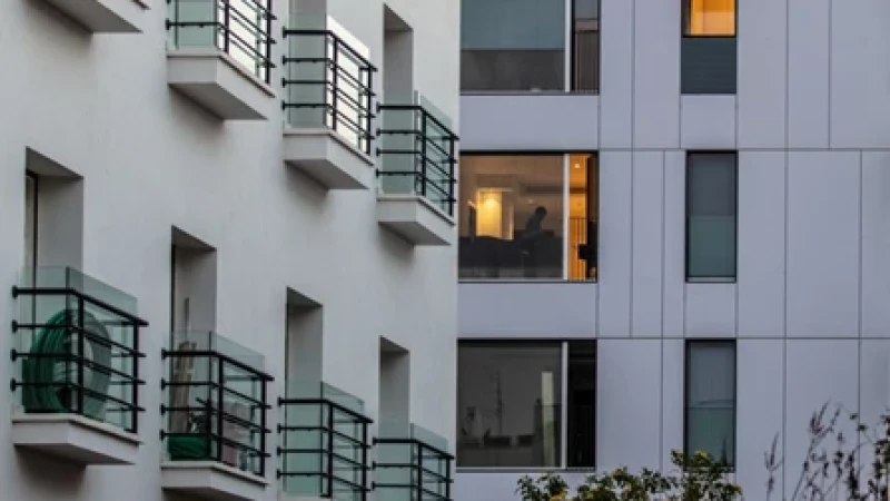 שימור וחידוש באסותא וילאג'