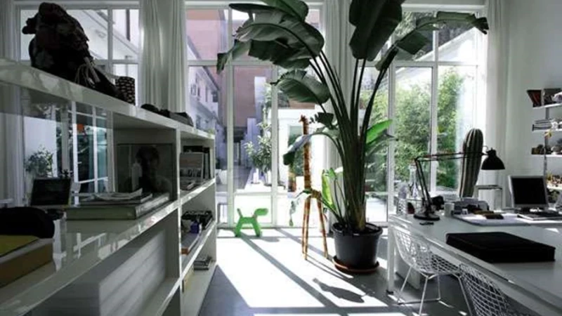 סטודיו / בית של רוברטו ולודויקה פלומבה