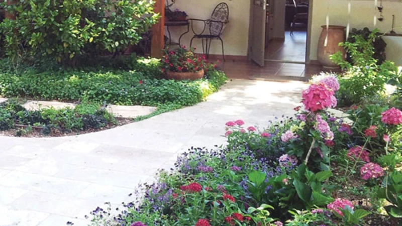 איש תחת גפנו ותחת תאנתו