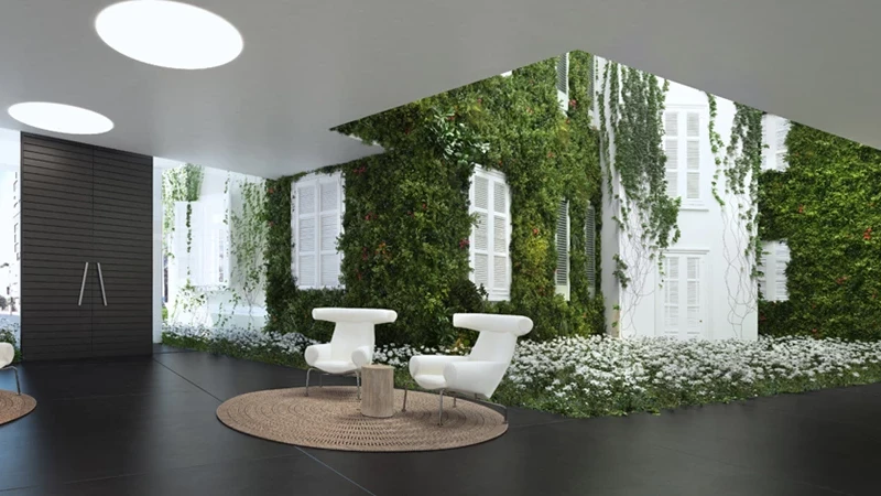 מטפסים על קירות