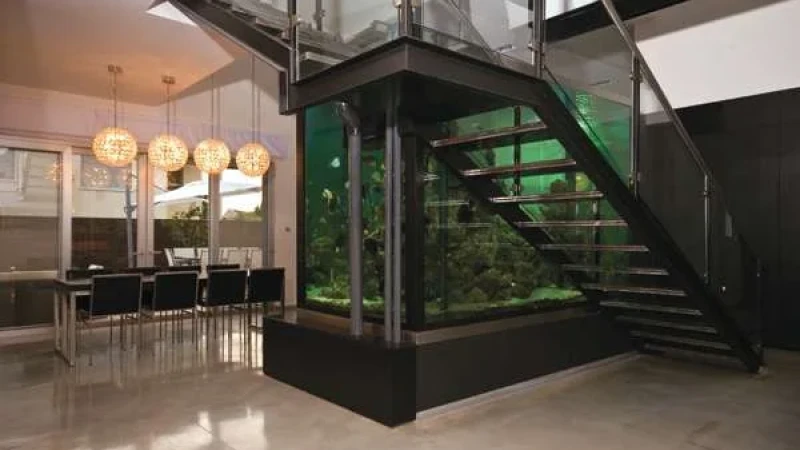 תכנון במזל דגים