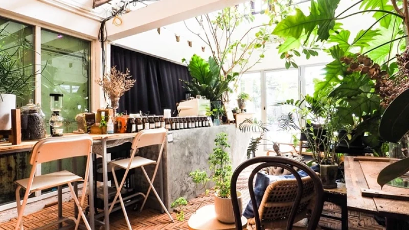 יש ג'ונגל בעבודה שלי