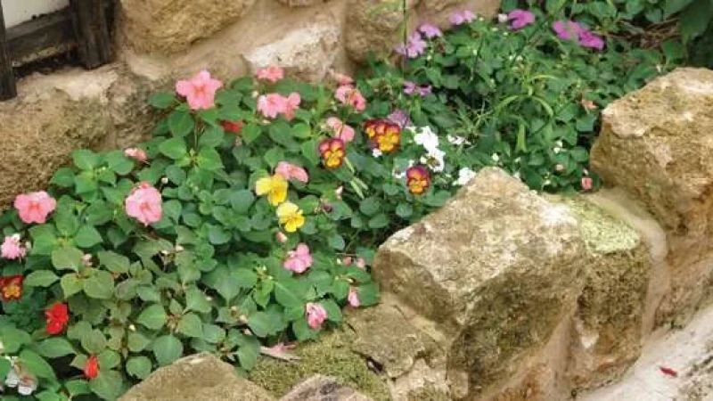 סיפורה של גינה - חותם האבן