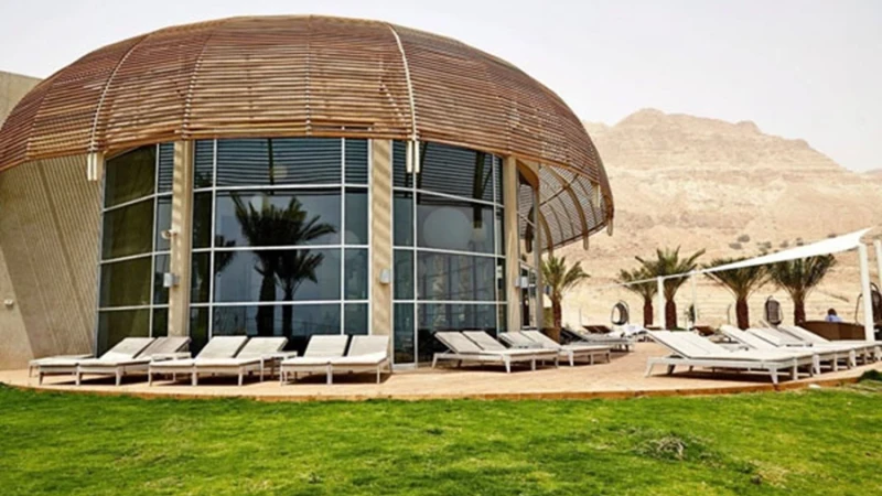 המשקפיים של מירון לוי