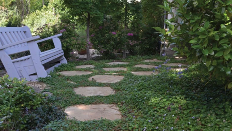 גינה לי (אמנם קטנה, אבל) חביבה