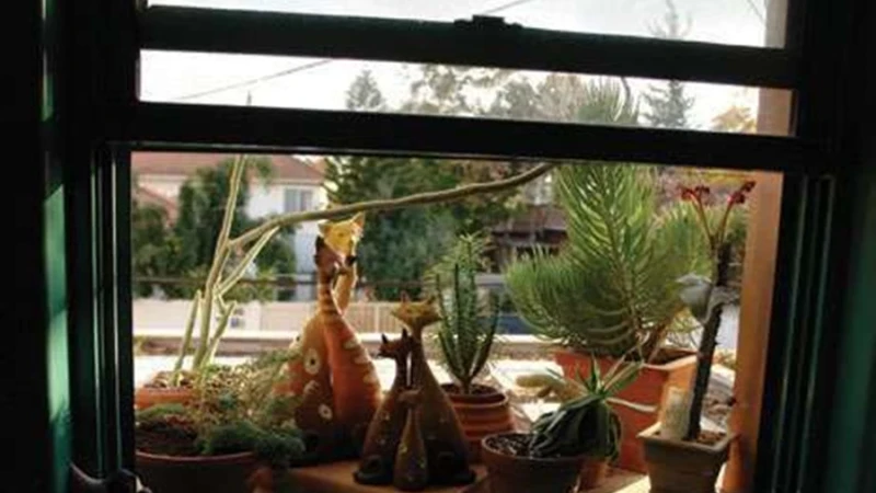 גינה טרופית