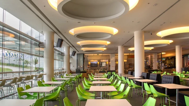 זה לא אנחנו, זה הגבס