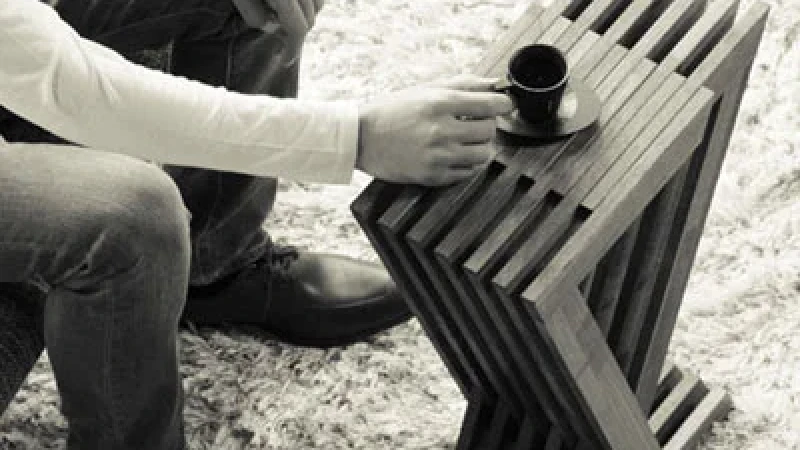 תערוכת אמביינטה בפרנקפורט, למטיבי לכת בלבד