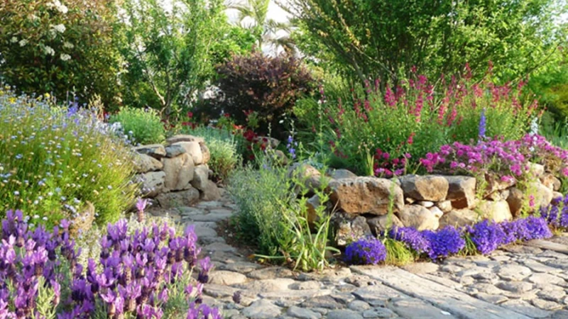 עיצוב גינות- עטיפה טבעית לבית